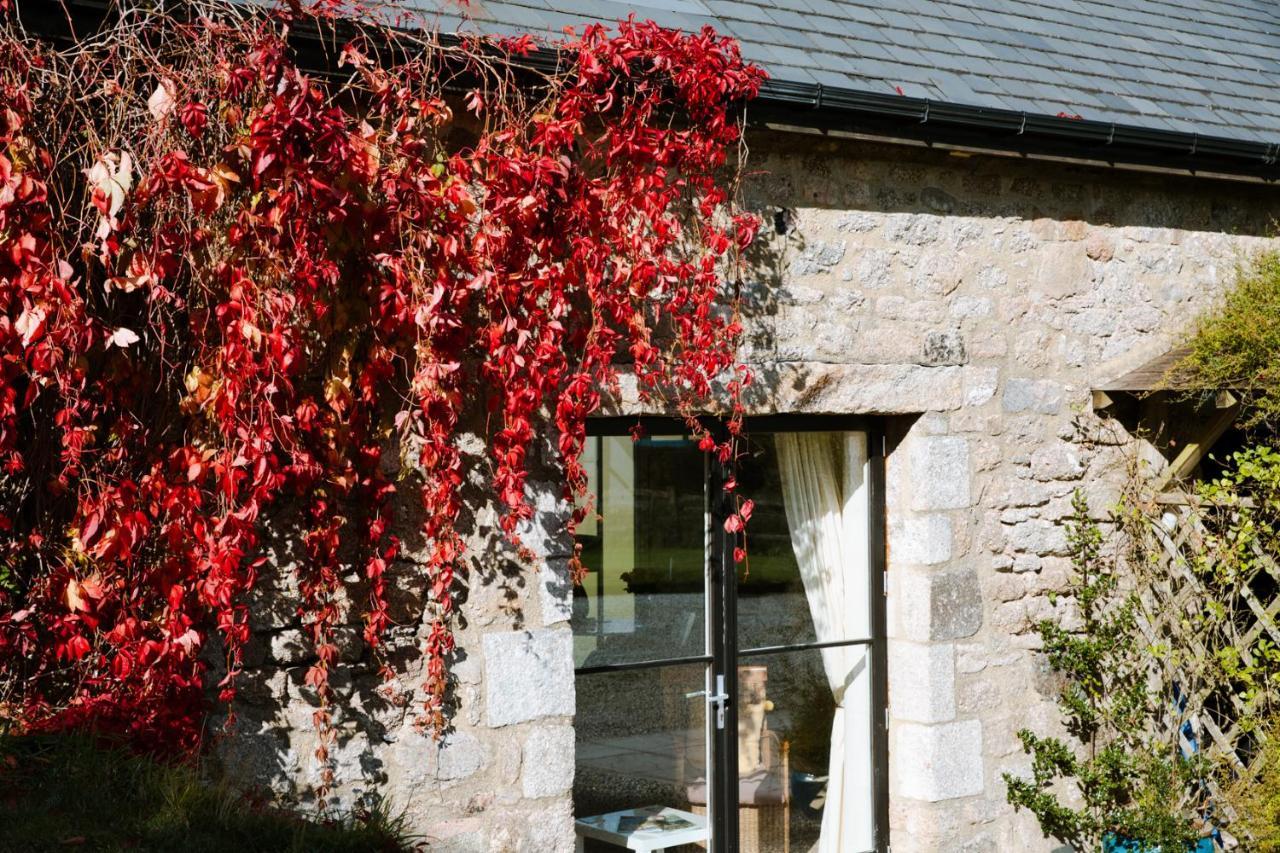 Higher Weddicott Barn Holiday Cottage - Self Catering Чаґфорд Екстер'єр фото